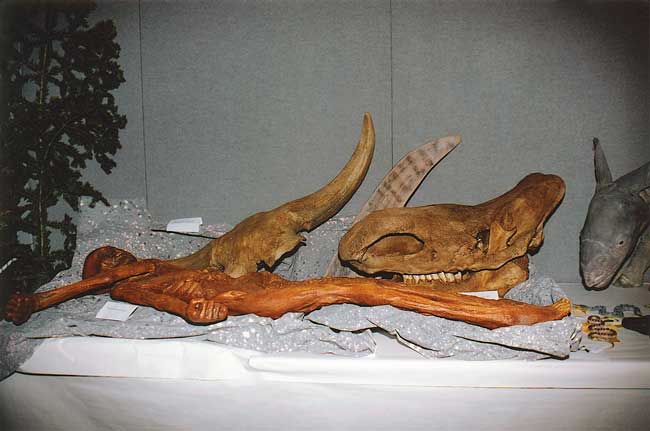 2004-oetzi
